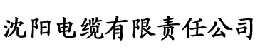 亚洲欧美一区二区三区午夜寻花电缆厂logo